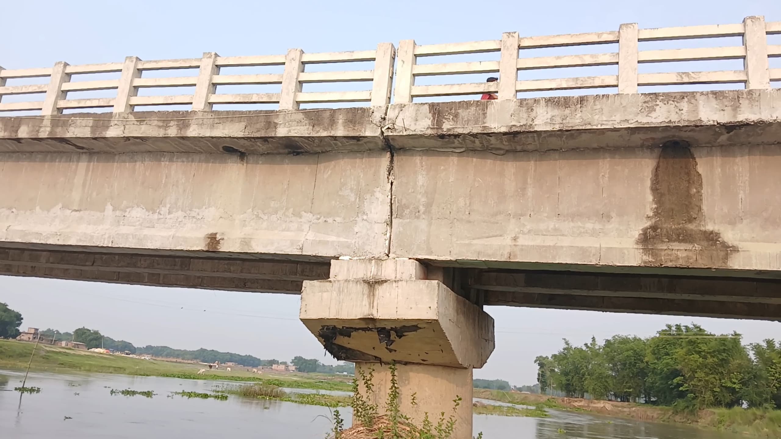 झमटा-महिषाकोल पुल के जांच को आज पहुंचेगी टीम, संवेदक व डिजाइनर आ सकते हैं कार्रवाई की जद में.