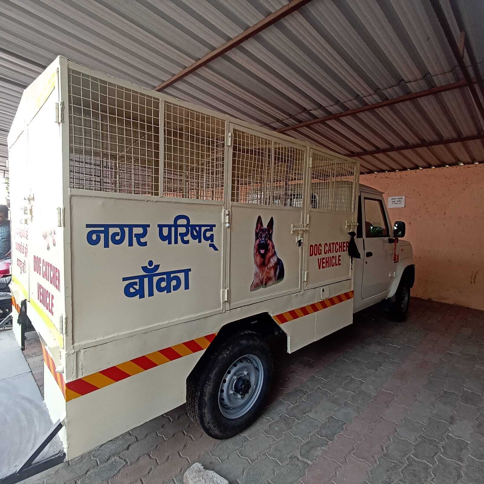Banka News : नगर परिषद में एनिमल बर्थ कंट्रोल सेंटर निर्माण के लिए टेंडर जारी, आवारा कुत्तों की होगी नसबंदी