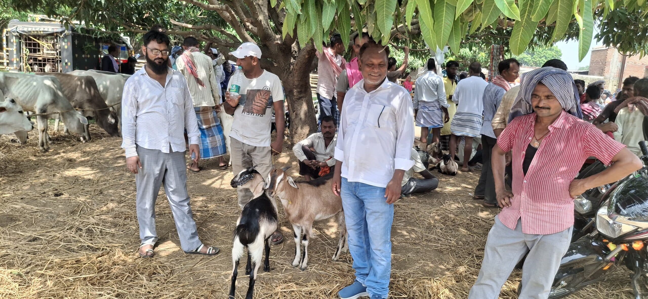 बकरीद से पहले गांवों के हाट में उमड़ी भीड़, 60 हजार तक बिके खस्सी