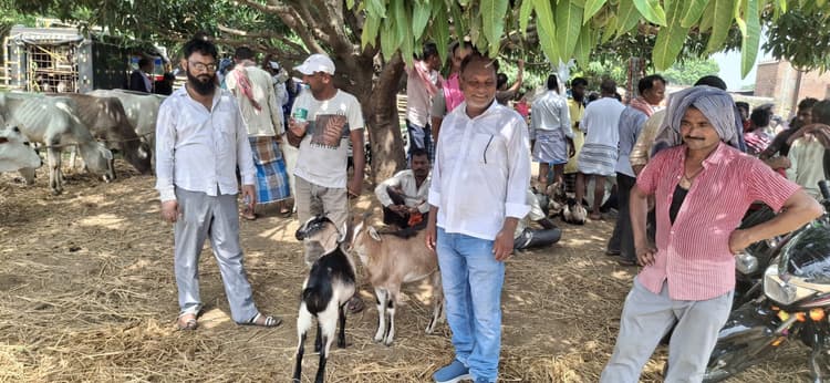 बकरीद से पहले गांवों के हाट में उमड़ी भीड़, 60 हजार तक बिके खस्सी