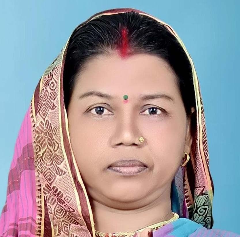 सशक्त स्थायी समिति के चुनाव के नये प्रावधान पर नगर पंचायत अघ्यक्ष ने जताया विरोध