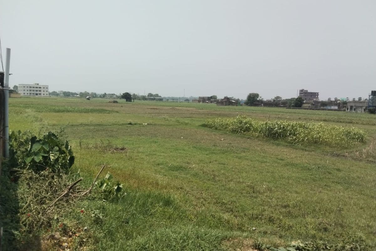 लखीसराय में खरीफ सीजन की तैयारी तेज, 42 हजार हेक्टेयर में होगी धान रोपनी