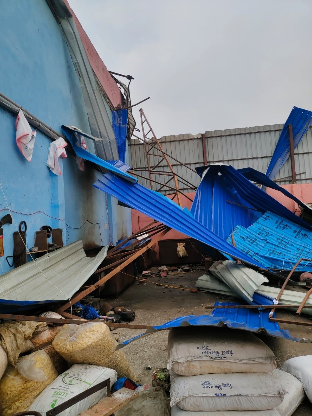 आंधी-पानी से तबाही, कहीं पेड़ धराशायी तो कहीं उड़े घर-गोदामों के छप्पर