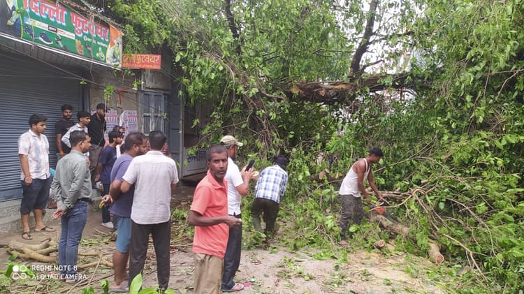 आंधी में पीपल का पेड़ तीन दुकानों पर गिरा