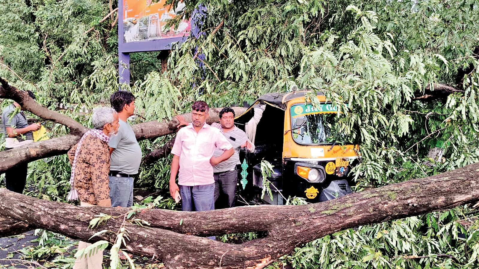 Rourkela News: राउरकेला क्लब के पास पेड़ गिरने से ऑटो क्षतिग्रस्त, बिजली का खंबा टूटने से कई लोग घायल