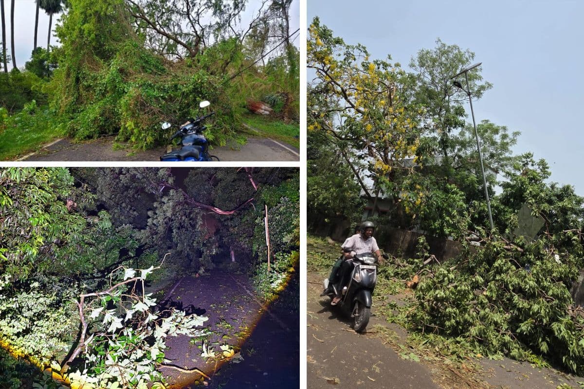 तेज आंधी-बारिश से भागलपुर में गर्मी से तो मिल गयी राहत, लेकिन पूरी रात अंधेरे में डूबा रह गया शहर