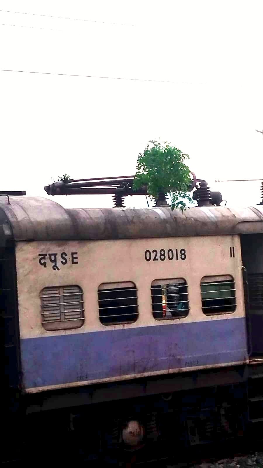 आंधी से पेड़ की टहनियां मेमू ट्रेन के पेंटो में फंसी, वंदे भारत समेत कई ट्रेनें 50 मिनट तक रुकीं