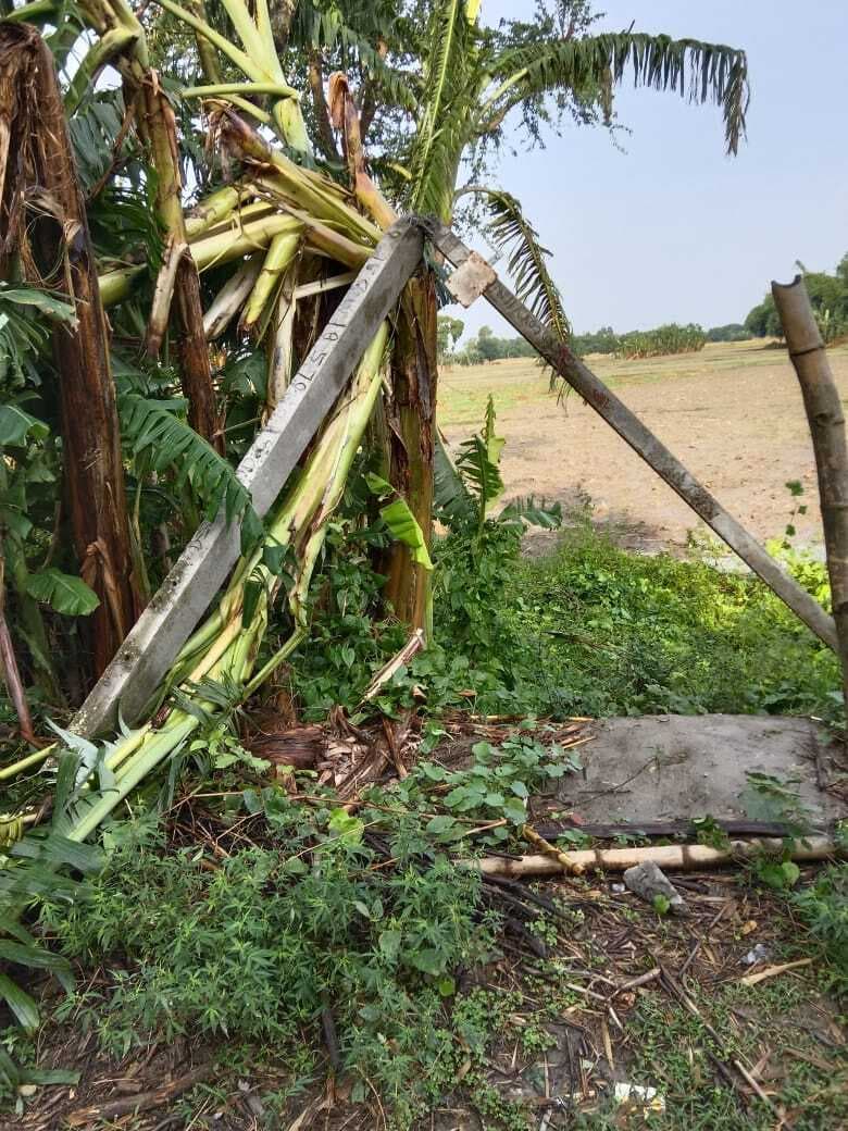 प्रकृति का प्रकोप या कुदरत का कहर, आंधी-तूफान एवं बारिश ने छीना किसानों के मुंह का निवाला