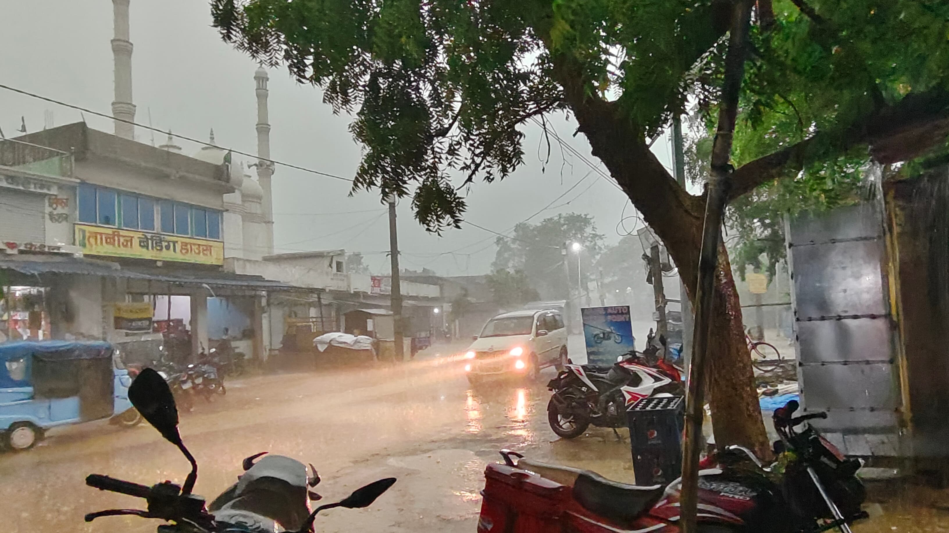 रोहिणी नक्षत्र की पहली बारिश से धान की खेती को मिलेगा फायदा