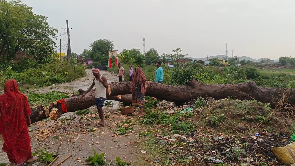 Giridih News :आंधी और बारिश ने मचायी तबाही, बिजली व्यवस्था चरमरायी