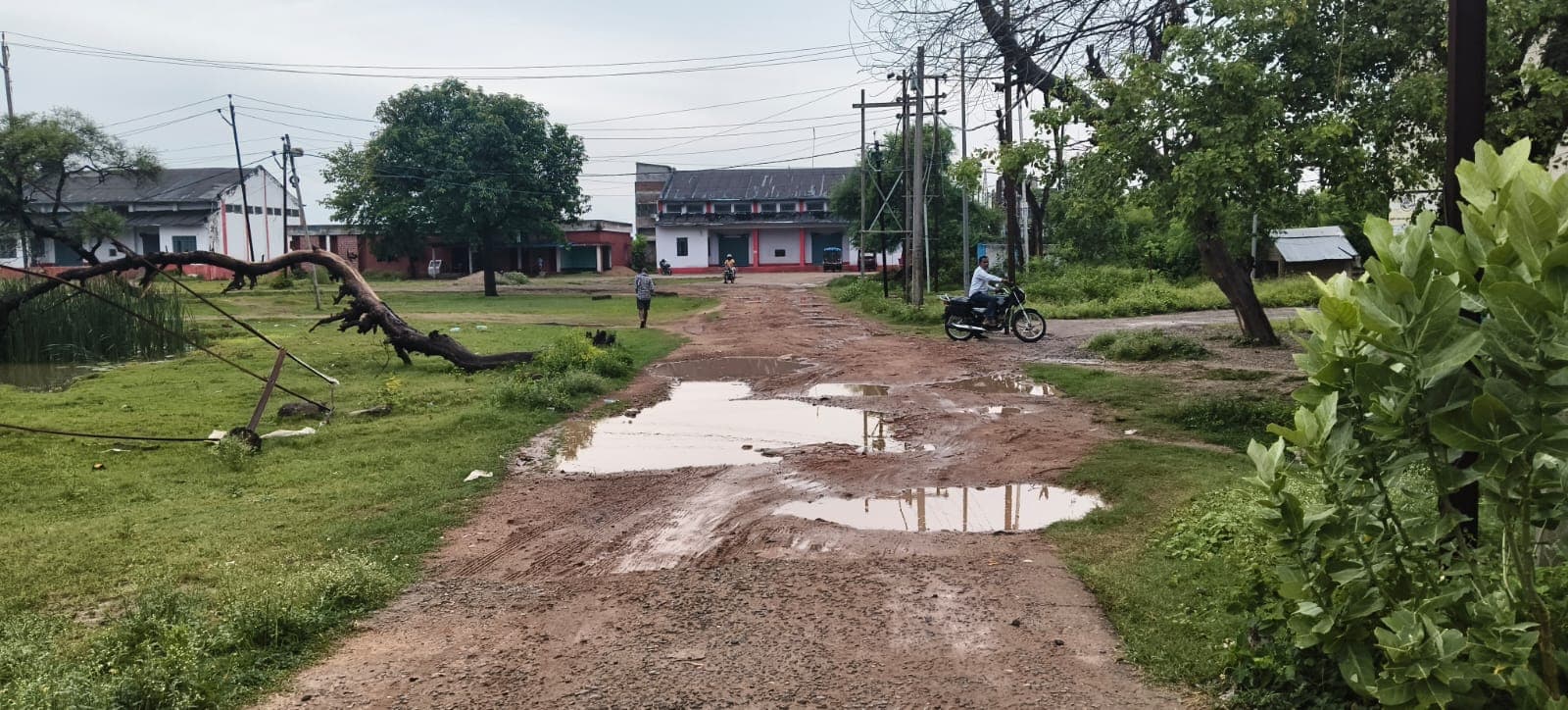 रजौन प्रखंड मुख्यालय कार्यालय जाने वाली सड़क  जर्जर
