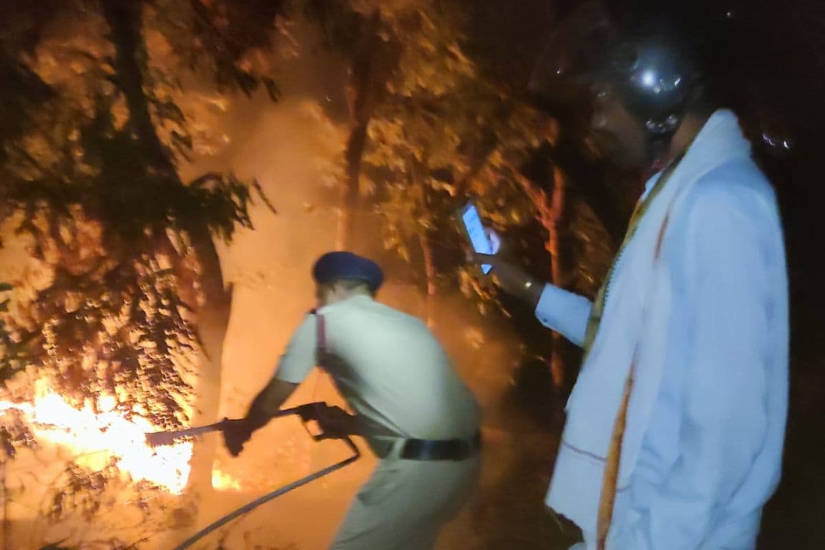 कैमूर न्यूज: भगवानपुर में सिंचाई विभाग के प्लांटेशन में लगी आग, कई पेड़ जले