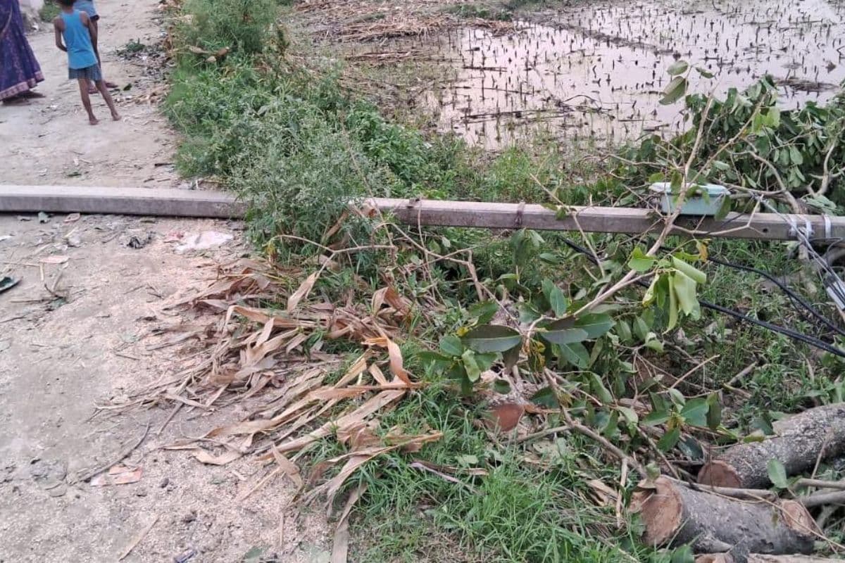 कटिहार में आंधी चलने के 36 घंटे बाद भी कई मोहल्लों में ब्लैकआउट, पानी के लिए मचा हाहाकार