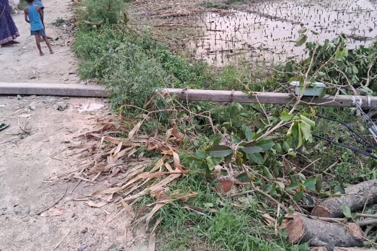 कटिहार में आंधी चलने के 36 घंटे बाद भी कई मोहल्लों में ब्लैकआउट, पानी के लिए मचा हाहाकार