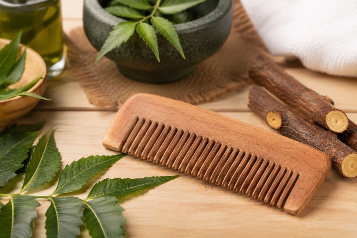 Hair Care Tips: बाल झड़ने और डैंड्रफ से हैं परेशान? कंघी बदलते ही दिखेगा बड़ा फर्क, जानिए नीम की लकड़ी वाली कंघी के फायदे