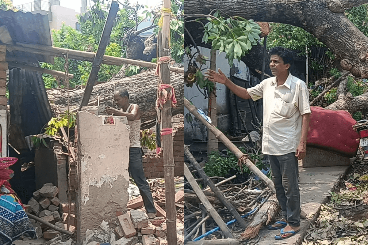 पटना के कन्हैया नगर में विशाल पेड़ गिरने से मकान क्षतिग्रस्त, चार दिन बाद भी प्रशासन ने नहीं लिया संज्ञान