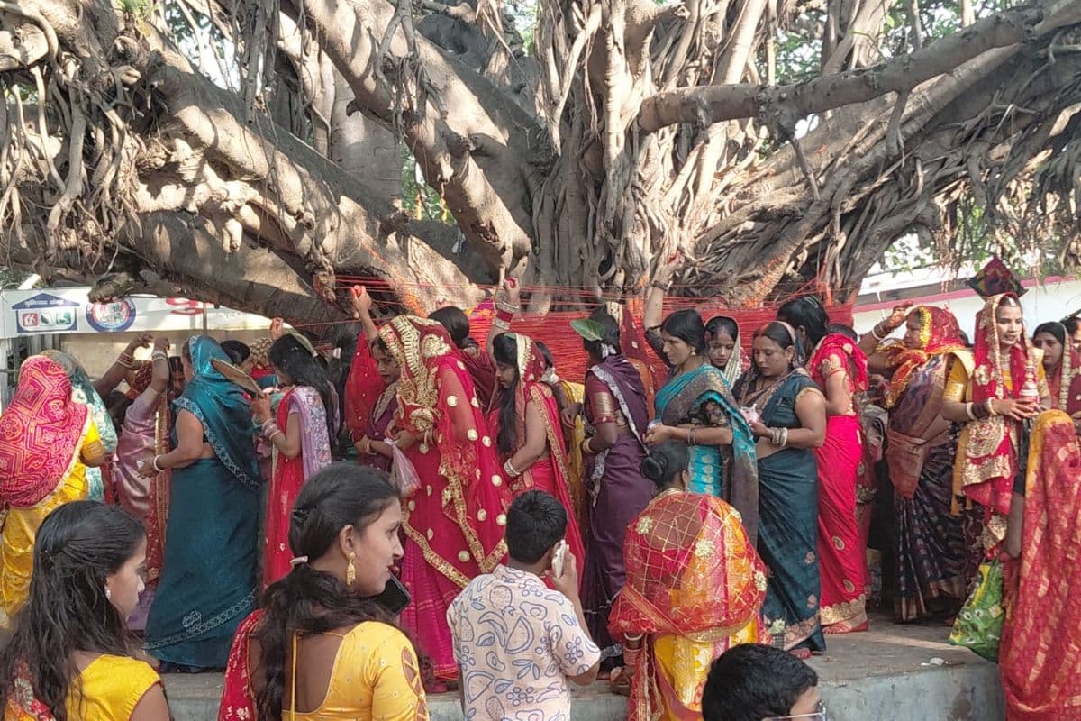 पति की लंबी उम्र के लिए महिलाओं ने रखा व्रत, फतुहा और दनियावां में वट वृक्ष के पास उमड़ी श्रद्धा