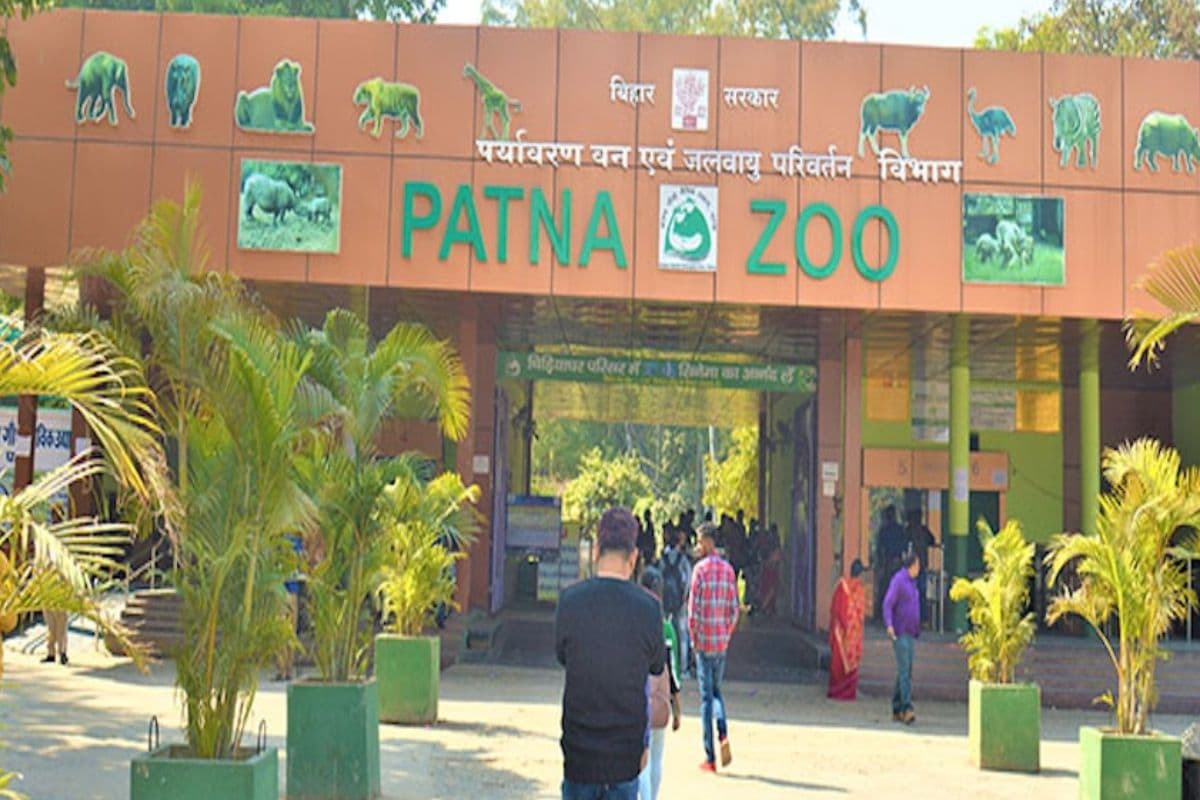 Patna Zoo में बढ़ेगा रोमांच, पहली बार दिखेगा ‘डबल हॉर्न’ वाला सफेद गैंडा, सिंगापुर से आएगा खास जोड़ा