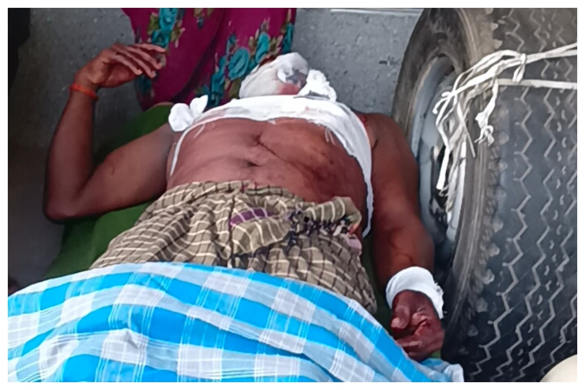 Bagaha News: बगहा में भालू का जानलेवा हमला, खेत में काम कर रहे किसान को किया लहूलुहान, हालत नाजुक