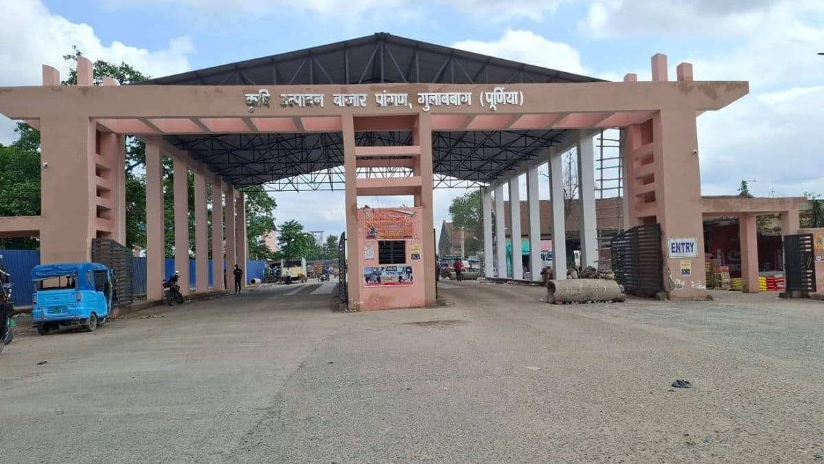 पूर्णिया की मंडी में आवक कमजोर पड़ते ही सुस्त हुआ कारोबार, मक्का के दाम रहे स्थिर