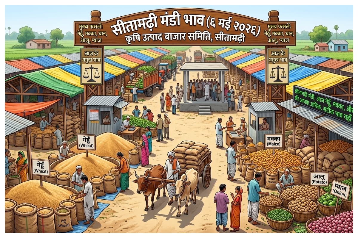 Sitamarhi Mandi Bhav (6 May): खाद्यान्न स्थिर, सर्राफा में हल्की गिरावट
