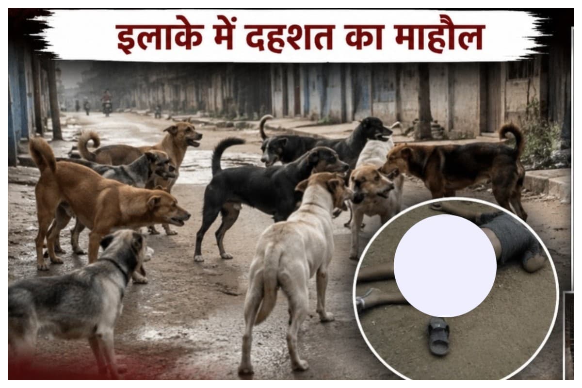 Darbhanga News: आवारा कुत्तों के झुंड ने 11 वर्षीय बच्ची को मार डाला, इलाके में दहशत का माहौल