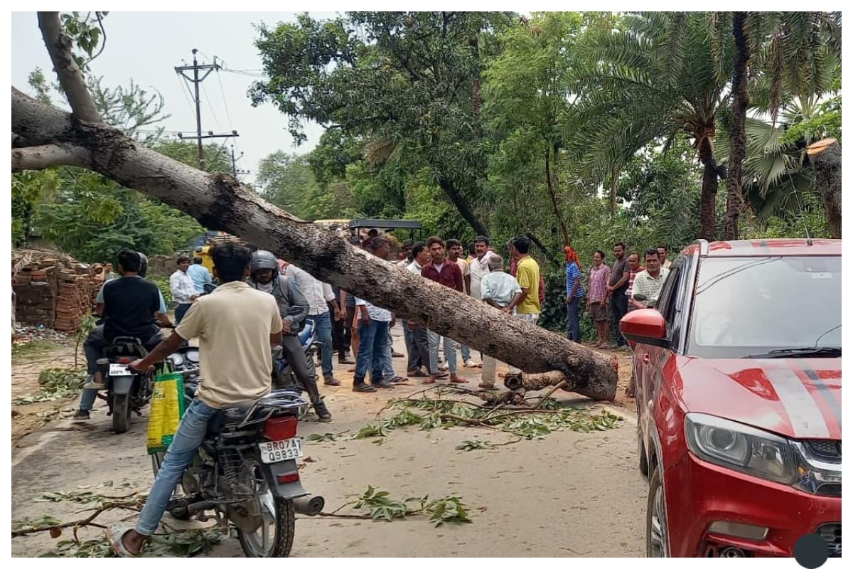 दरभंगा: तेज आंधी में सड़क पर गिरा विशाल पेड़, कई घंटों तक जाम में फंसे रहे लोग