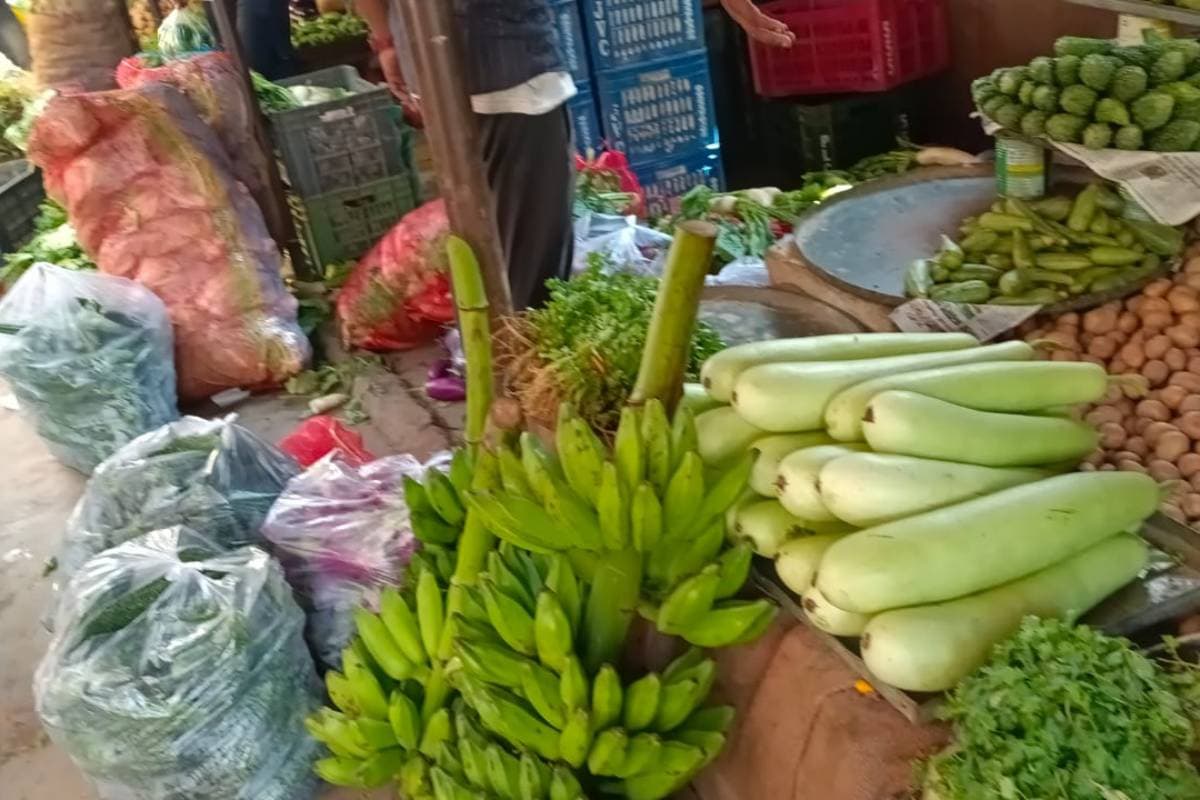 प्लास्टिक कैरी बैग का धड़ल्ले से हो रहा उपयोग