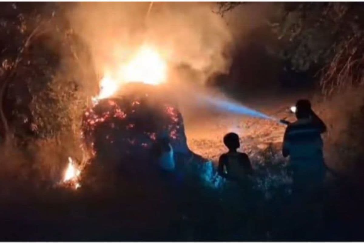 खगड़िया में 5 बीघा मक्का में लगाई गई आग, रातभर मची अफरा-तफरी, दमकल ने बड़ी तबाही टाली