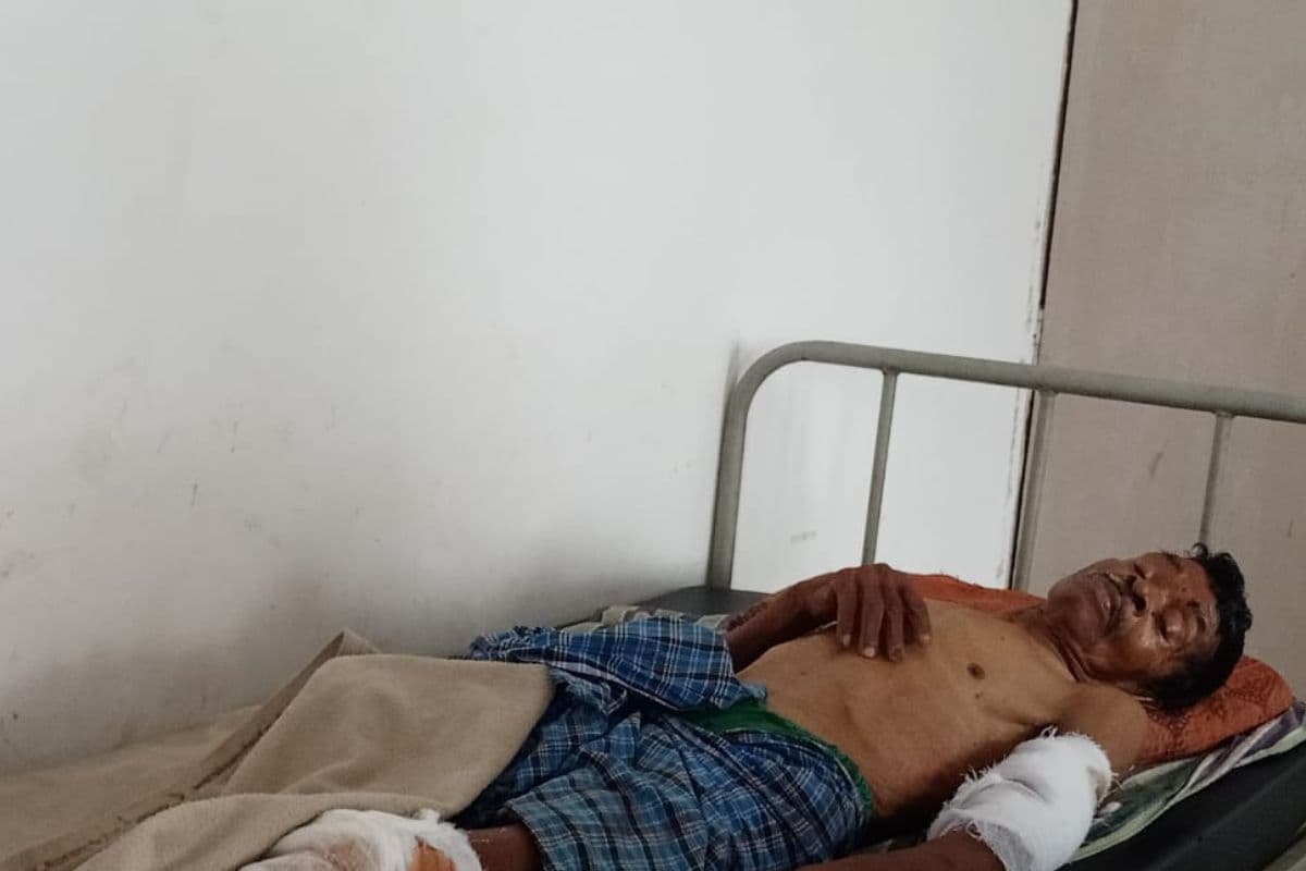 बोकारो के झुमरा पहाड़ पर भालू का हमला, लकड़ी चुनने गए ग्रामीण को किया घायल, इलाके में दहशत