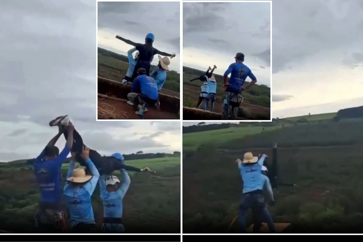 बंजी जंपिंग के लिए बिना रस्सी बांधे फेंक दिया, 21 साल की लड़की की हुई मौत; Video में कैद हुआ दिल दहलाने वाला हादसा