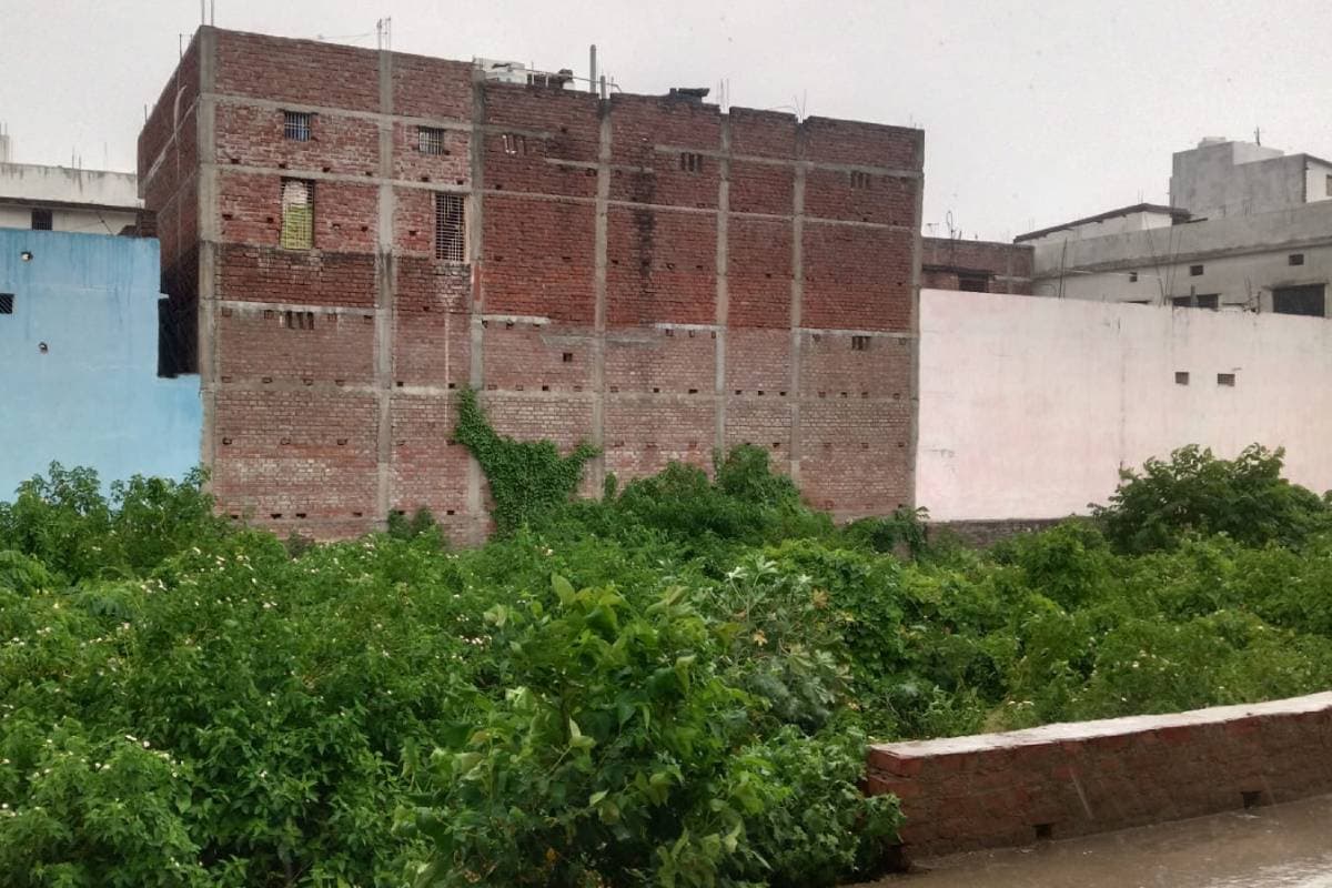 बक्सर में मेहरबान हुआ मौसम, बारिश से मिली राहत; किसानों के चेहरे खिले