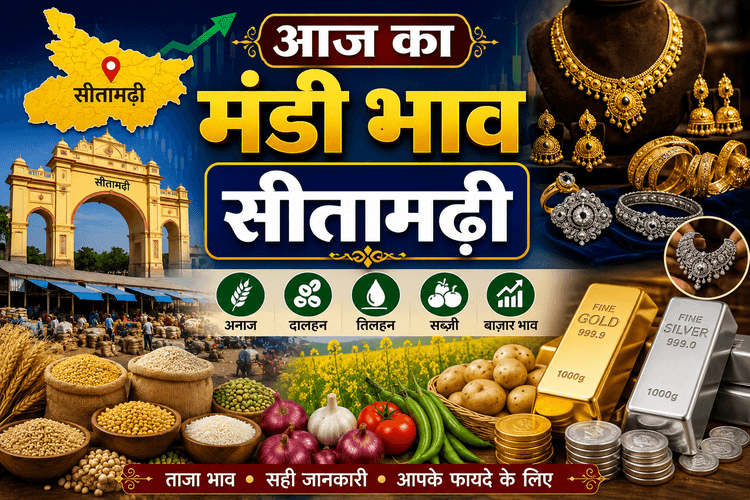 सोना-चांदी के भाव स्थिर, फल-सब्जी और खाद्य तेल के रेट में नहीं हुआ बदलाव