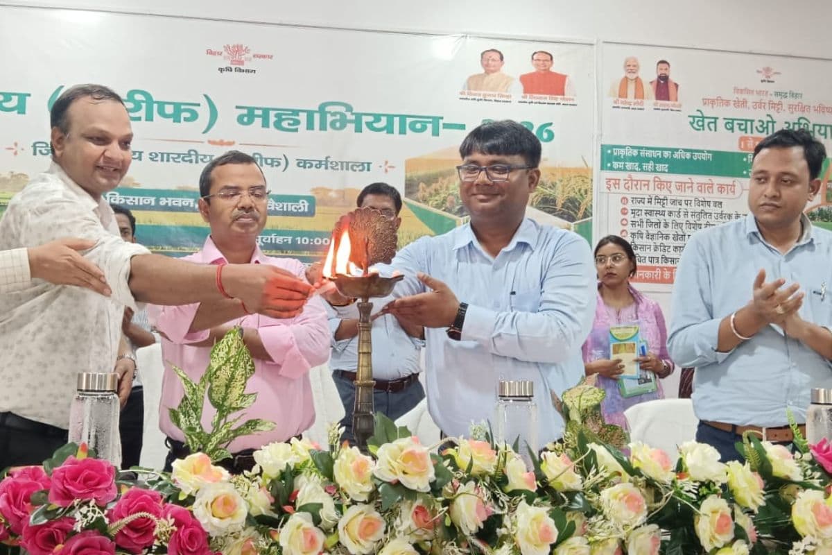 खेती में बदलाव से बढ़ेगी आमदनी, श्री अन्न और स्वीट कॉर्न पर सरकार का जोर