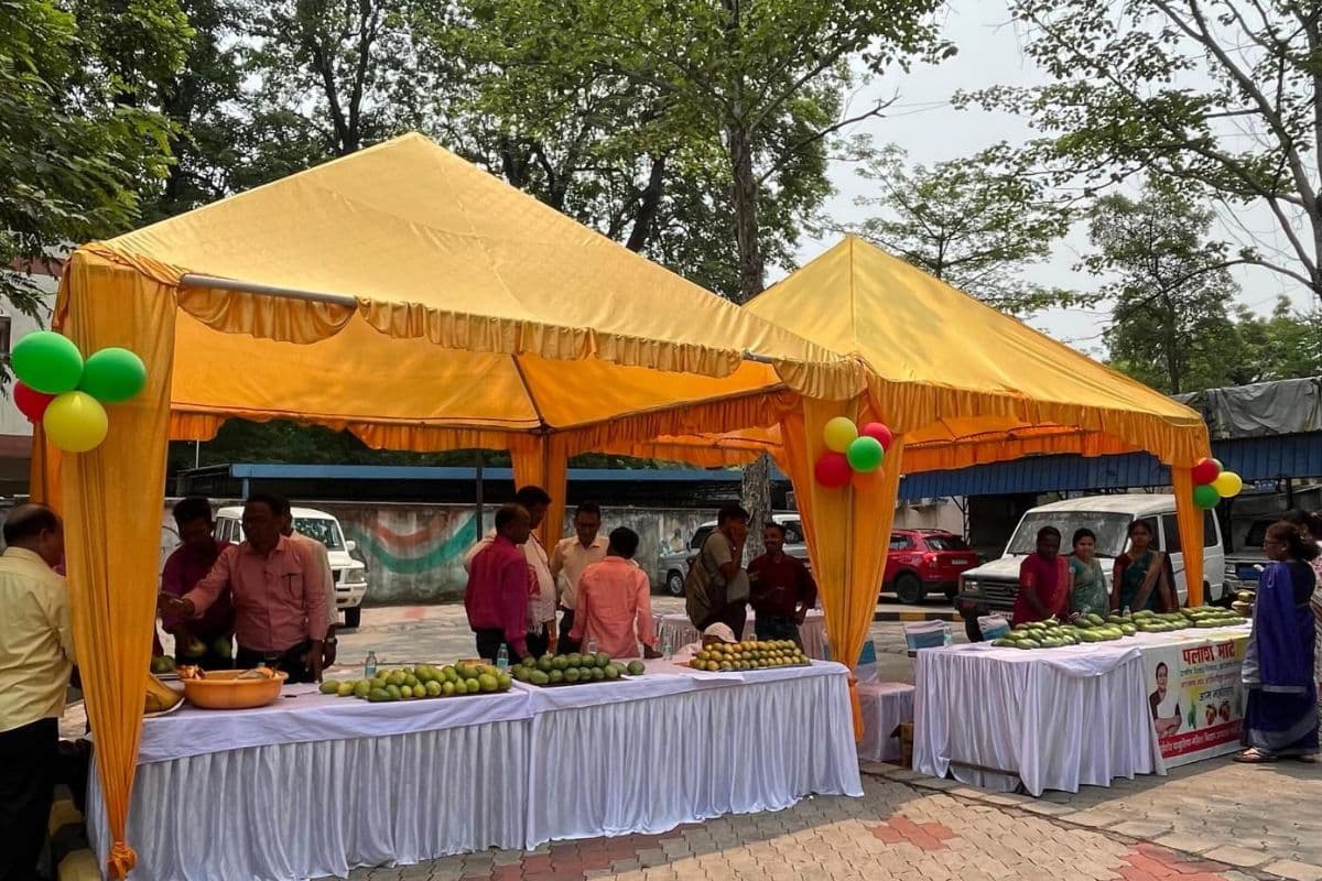 झारखंड के आमों की विदेशों में मचेगी धूम: यूके, स्पेन और मिडिल ईस्ट में एक्सपोर्ट की तैयारी