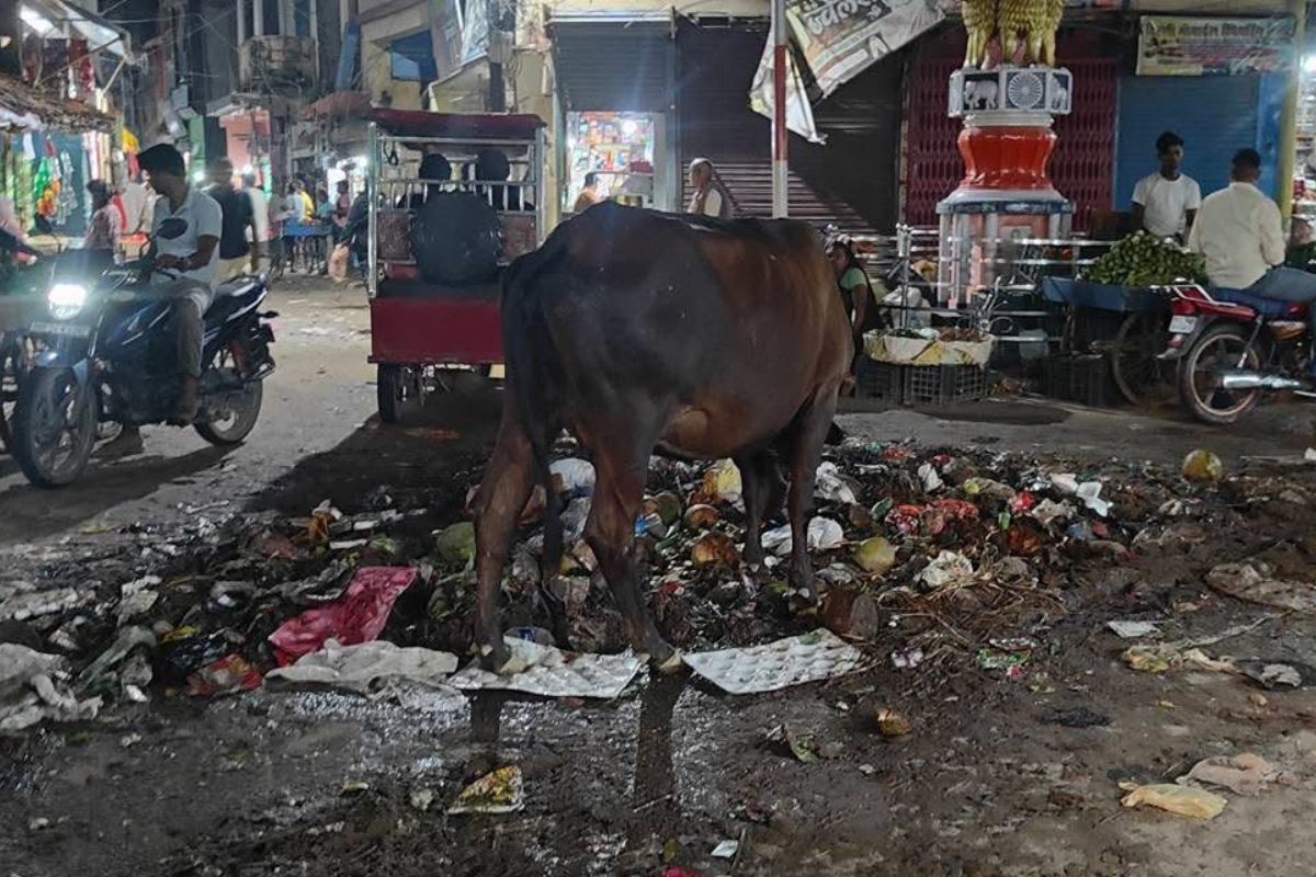 खगड़िया बाजार के बीच कचरे का पहाड़, मार्केट की सफाई व्यवस्था पर उठे सवाल