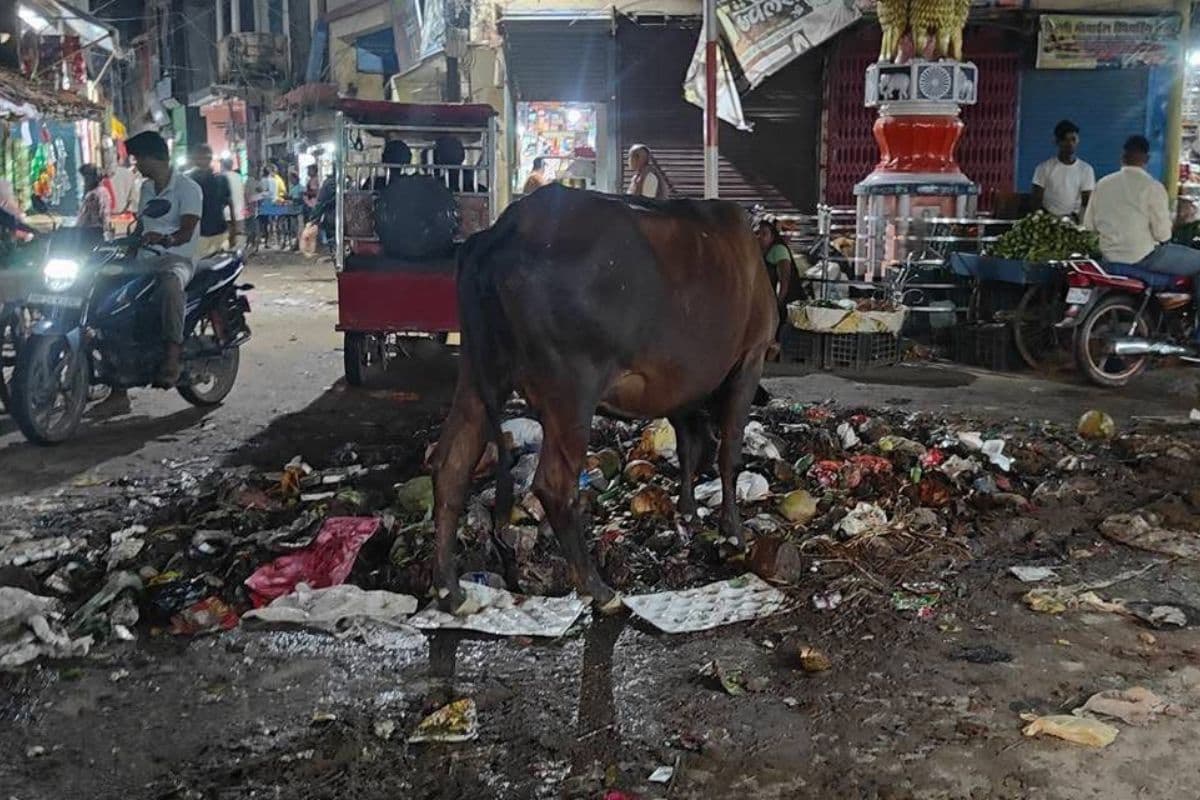 खगड़िया बाजार के बीच कचरे का पहाड़,  मार्केट की सफाई व्यवस्था पर उठे सवाल
