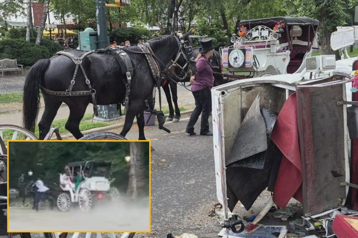 न्यूयॉर्क में 18 वर्षीय भारतीय युवक की दर्दनाक मौत, मां को बचाने के लिए चलती बग्घी से कूद पड़ा