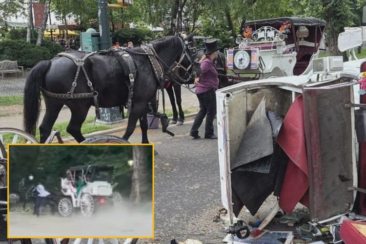 न्यूयॉर्क में 18 वर्षीय भारतीय युवक की दर्दनाक मौत, मां को बचाने के लिए चलती बग्घी से कूद पड़ा