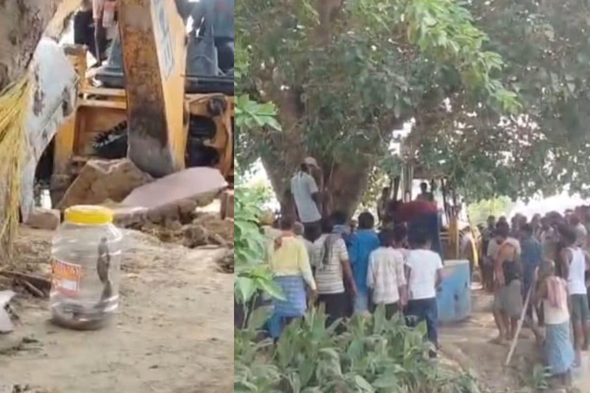 सीवान में सांप ने 2 मासूमों की जान ली, लोगों ने चबूतरा तोड़कर डिब्बे में कैद किया