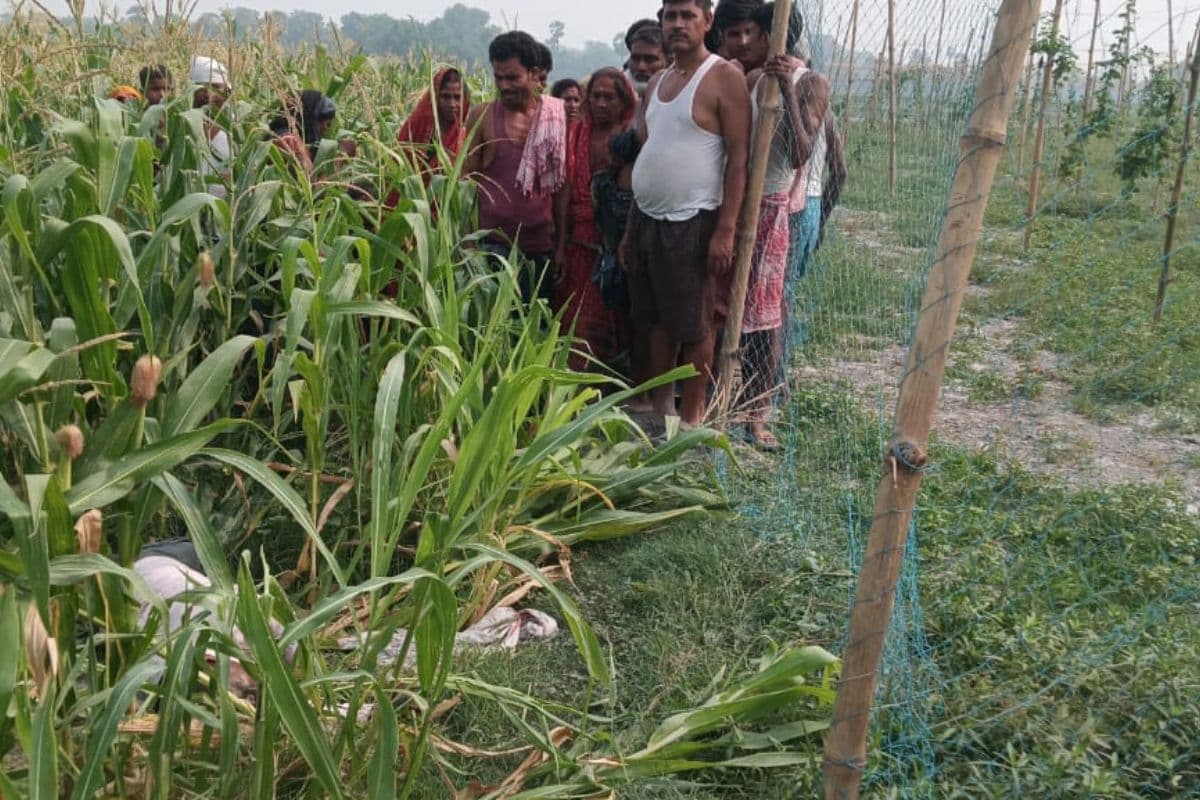 वैशाली: मक्के के खेत में मिला अज्ञात व्यक्ति का शव, हत्या की आशंका, गले पर जख्म के निशान
