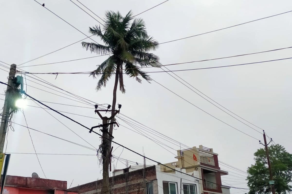 पूर्णिया में आज रहें सतर्क, 48 घंटे का ऑरेंज अलर्ट, तेज आंधी-बारिश और बिजली की चेतावनी