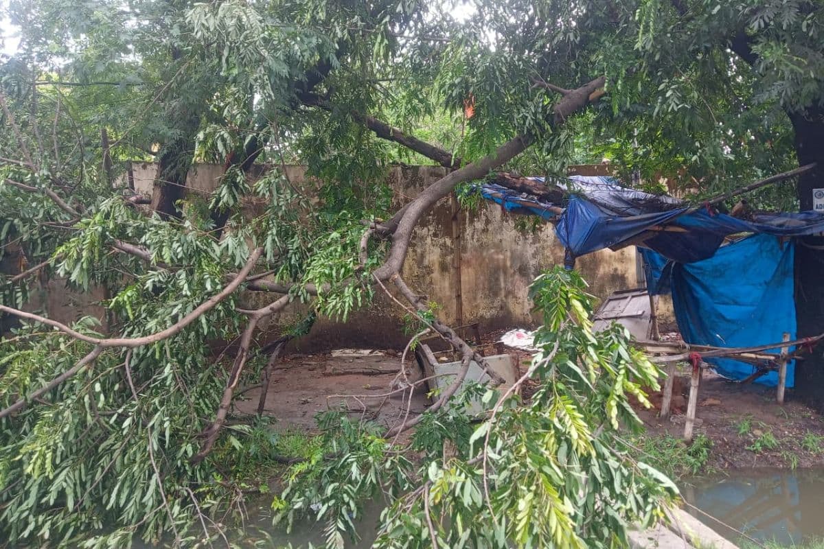 Ramgarh: वज्रपात और तेज आंधी-बारिश का कहर, युवक की मौत, कई जगह गिरे पेड़