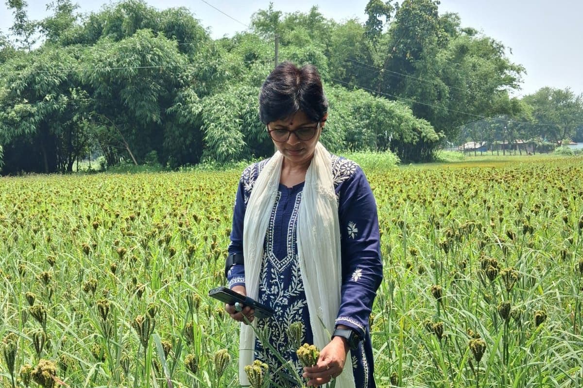 तेजी से सिमट रहे खेतों पर कृषि वैज्ञानिक की बड़ी चेतावनी, बोलीं- खेत बचेंगे तभी बचेगा देश