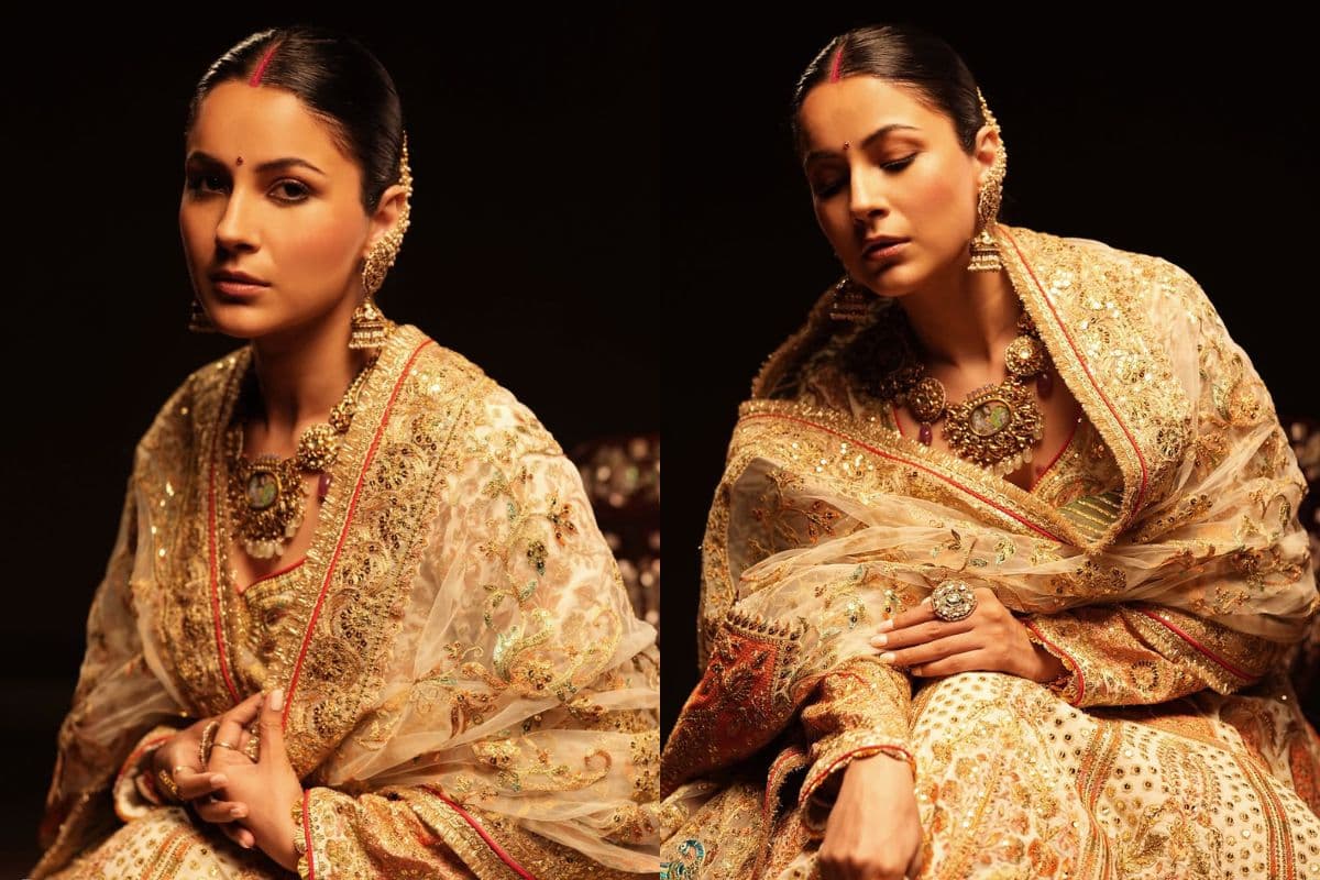 मांग में लाल सिंदूर और हैवी ज्वेलरी, दुल्हन बनीं Shehnaaz Gill की इन तस्वीरों ने उड़ाए होश, क्या सच में कर ली गुपचुप शादी?