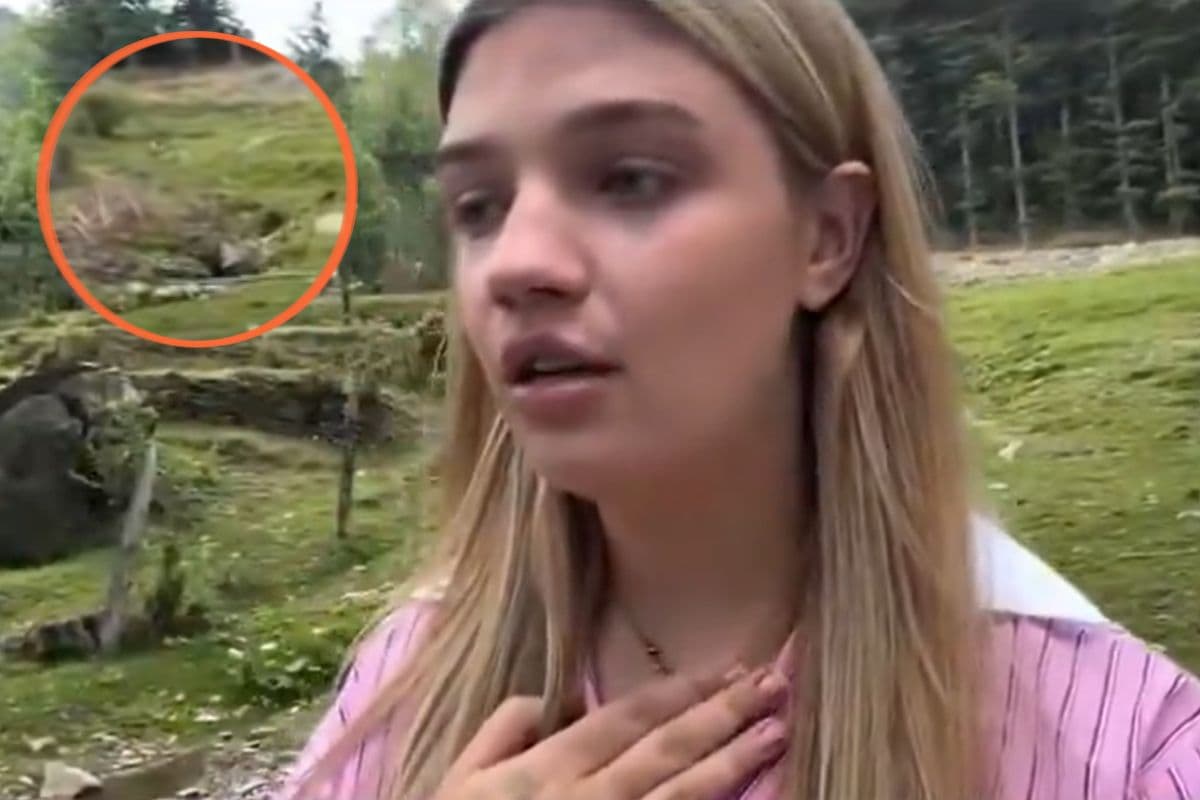Viral Video: देवभूमि को कूड़ाघर क्यों बना रहे हैं? शिमला पहुंची विदेशी महिला का सवाल वायरल