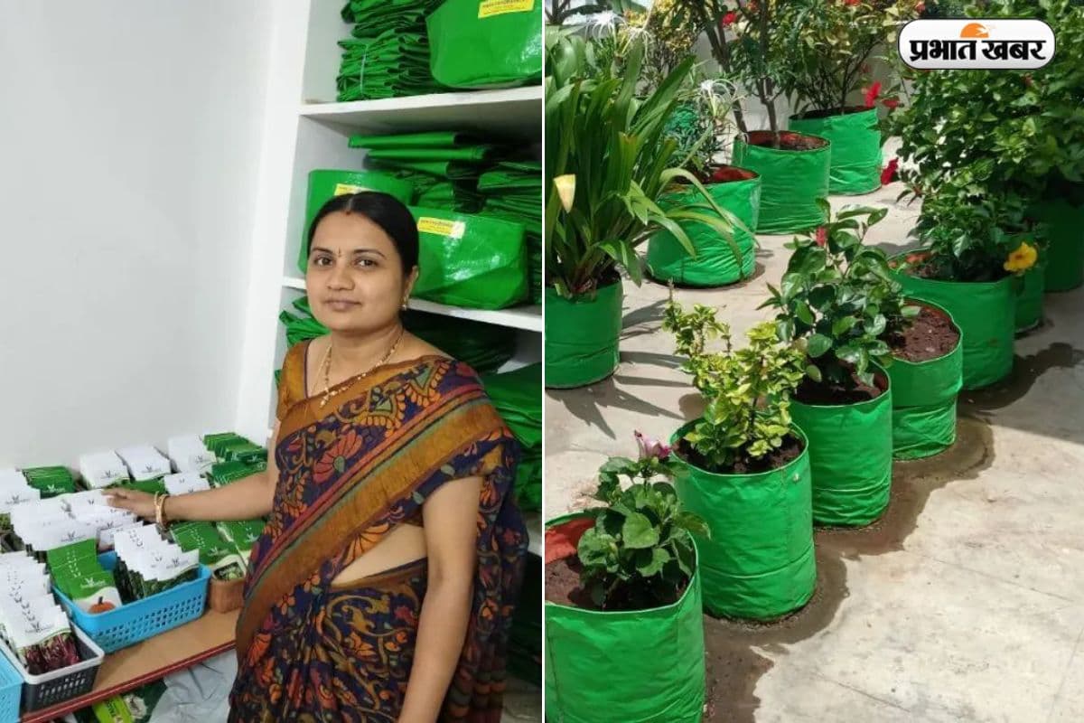 2BHK किराए के फ्लैट की बालकनी में सब्जियां उगाने से शुरू किया बिजनेस, आज ₹50 लाख का टर्नओवर