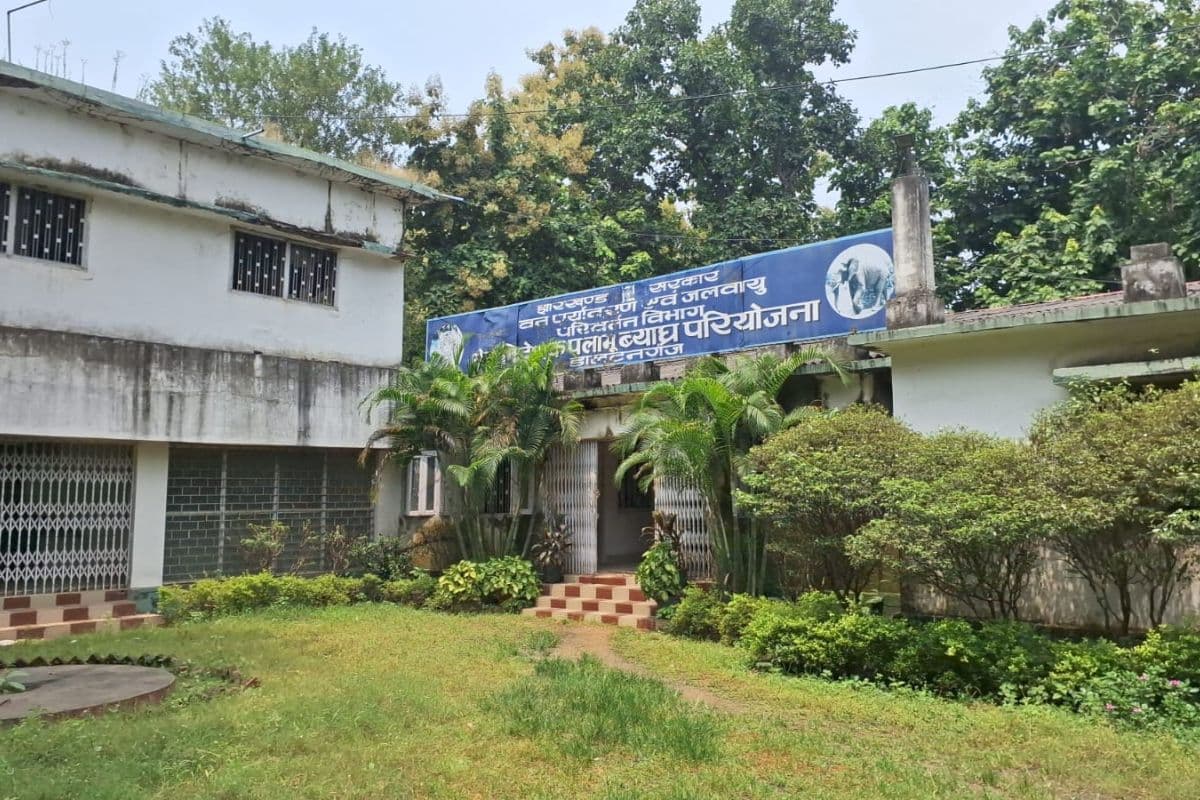 Latehar: जंगल लातेहार में और ऑफिस पलामू में, 50 वर्षों से विसंगति से जूझ रहा है पलामू टाइगर रिजर्व