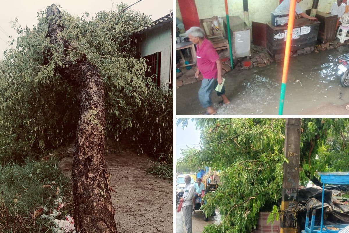 तेज आंधी-तूफान और बारिश से उखड़े पेड़, सड़क पर गिरे छप्पर और करकट