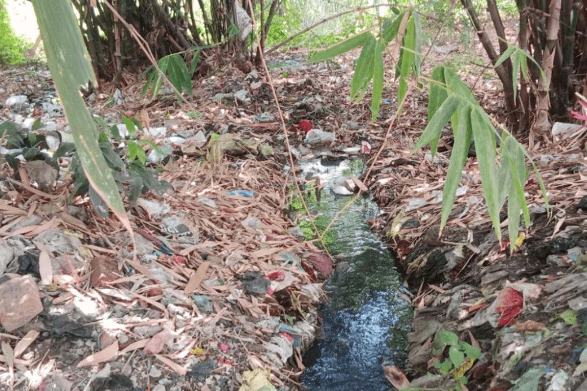 दानापुर नगर परिषद में जलाशय पर बढ़ता अतिक्रमण बना मुसीबत, जल निकासी व्यवस्था ठप होने से किसान और ग्रामीण परेशान